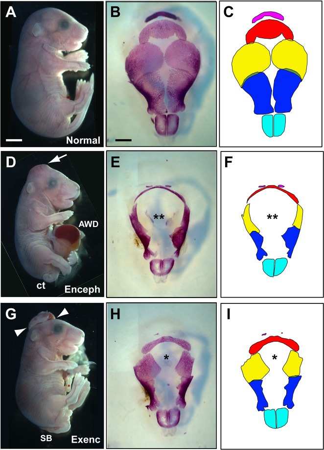 Fig. 3.