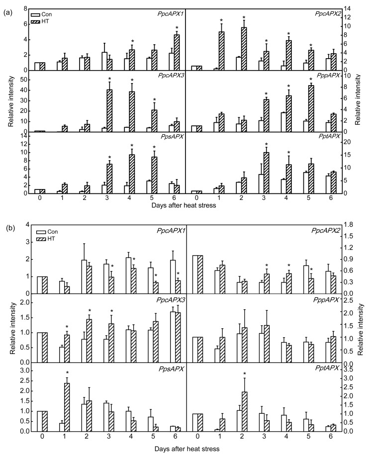 Fig. 10