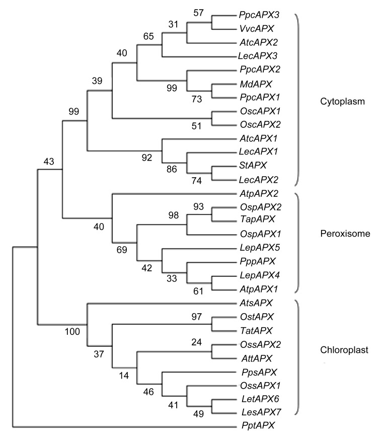 Fig. 8