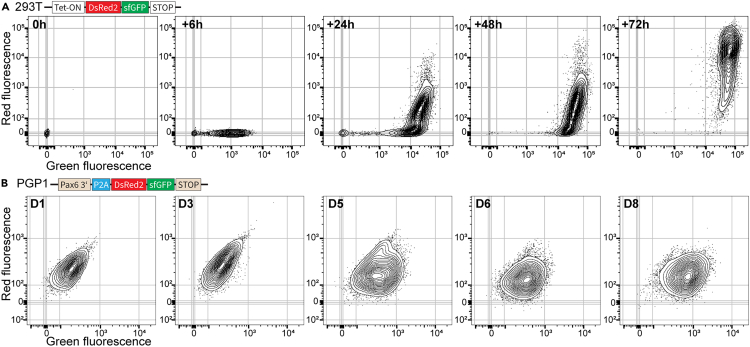 Figure 1