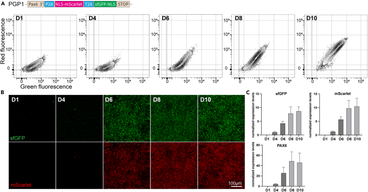 Figure 3