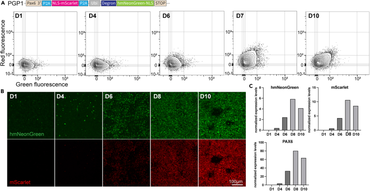 Figure 2