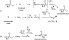 Scheme 9