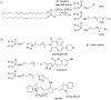 Scheme 41