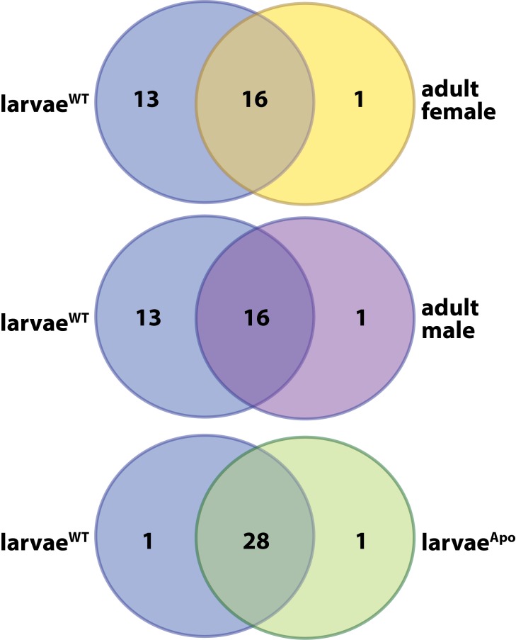 Figure 1—figure supplement 1.