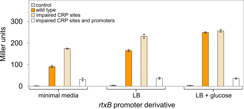 FIG 3 