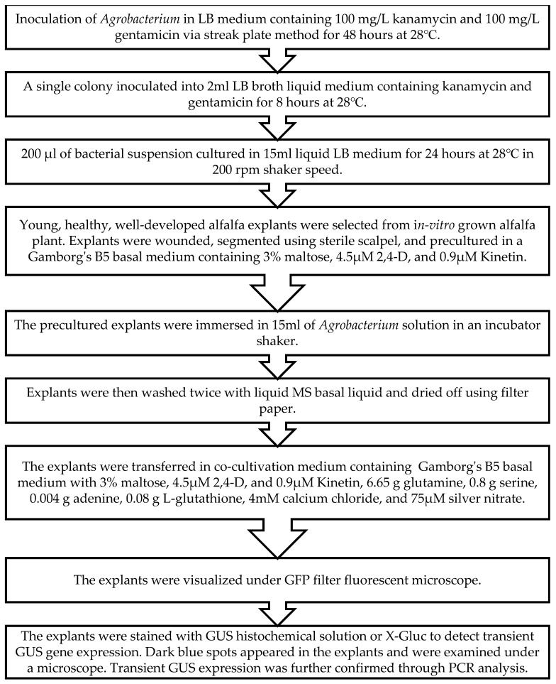 Figure 15