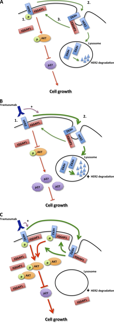 FIGURE 11.