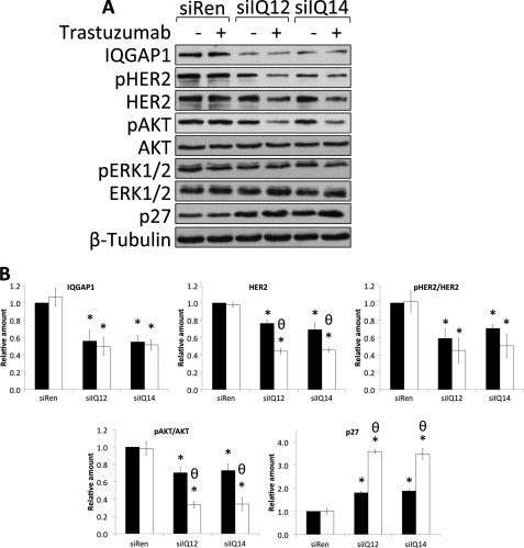 FIGURE 10.