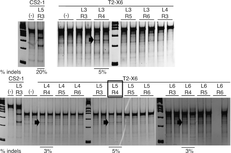 Figure 3.