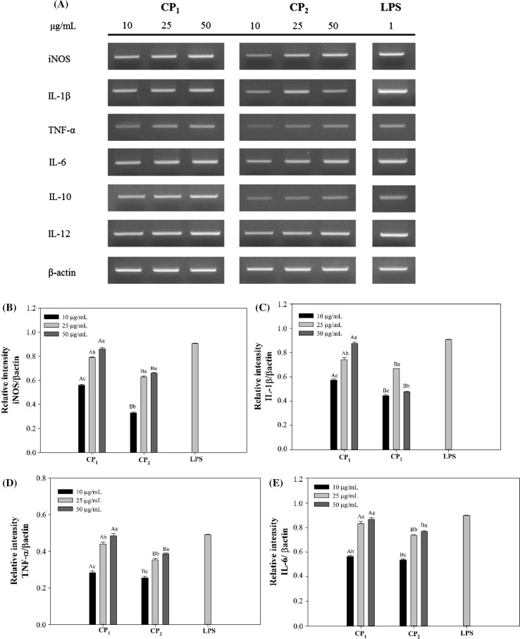 Fig. 4