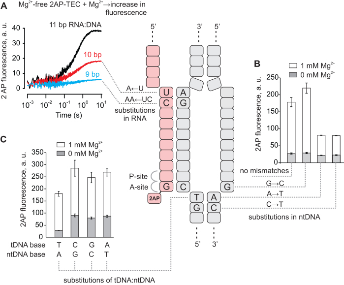 Figure 3.