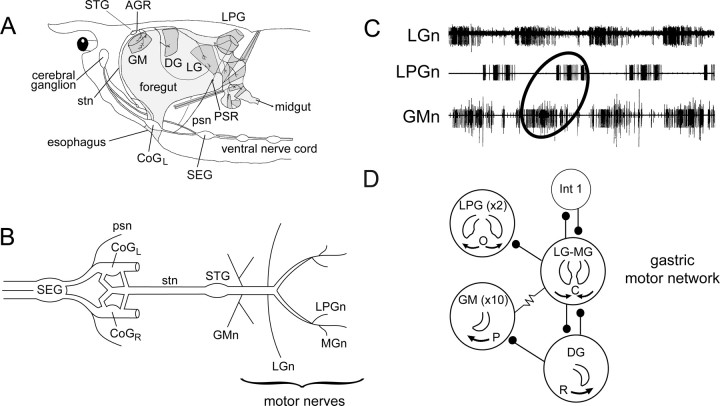 Figure 1.