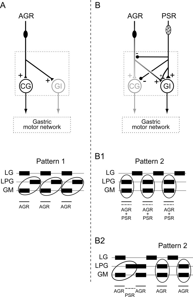 Figure 10.