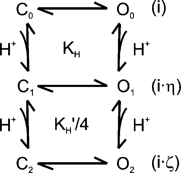 graphic file with name JGP_200910255_Scheme1.jpg