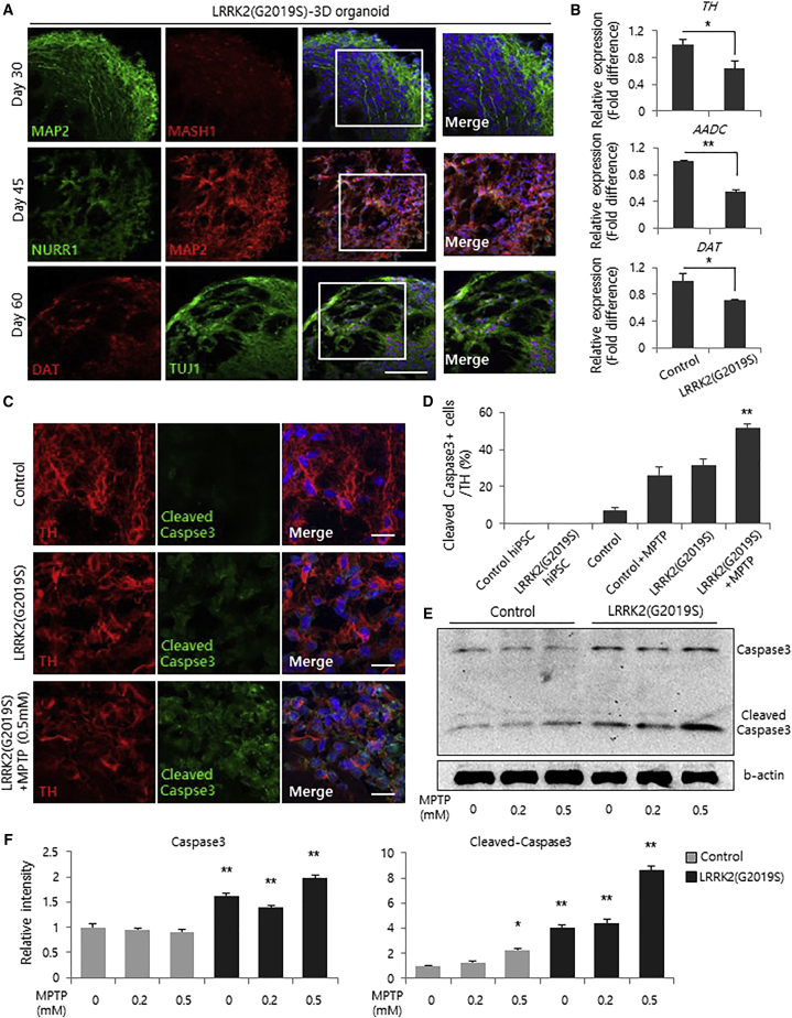 Figure 2