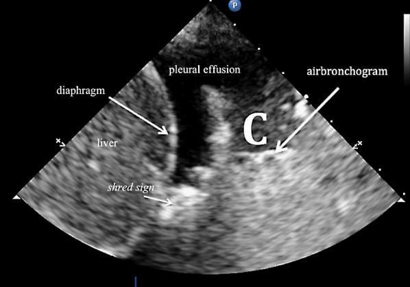 Fig. 5