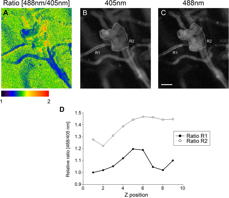 Figure 6