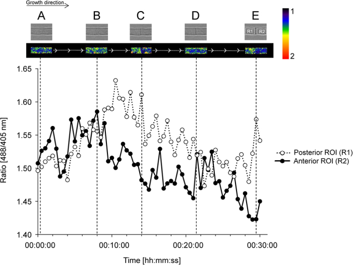 Figure 5