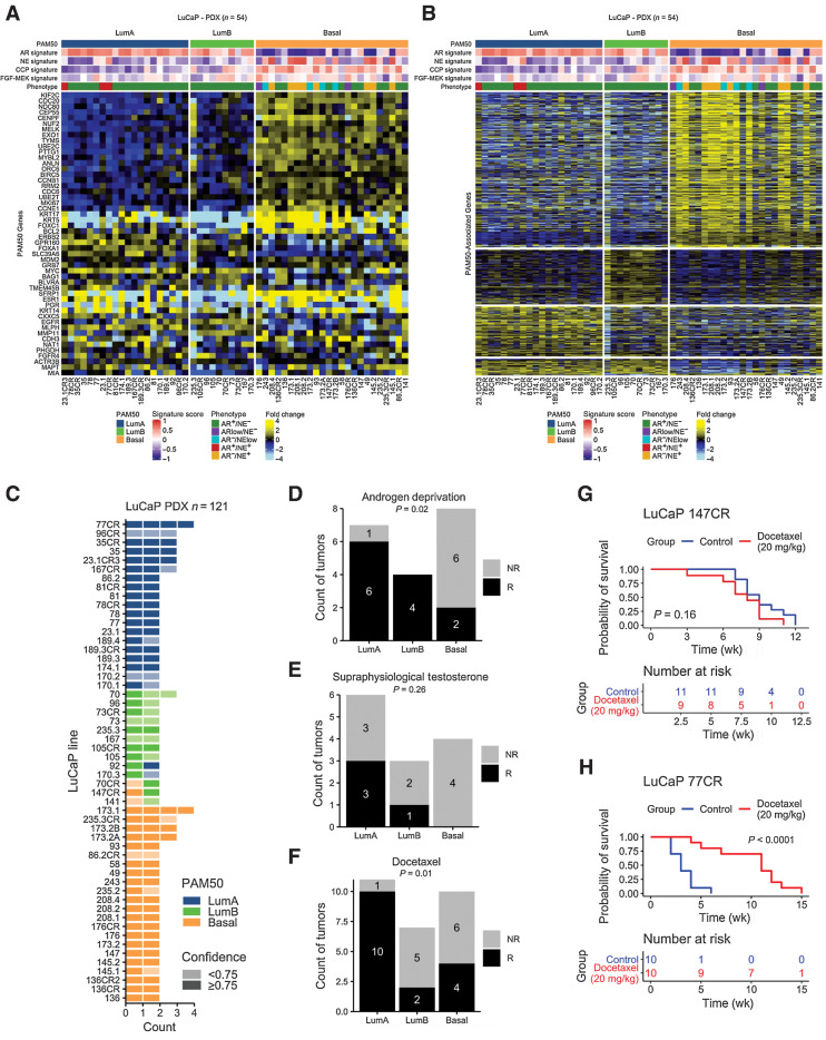 Figure 5. PAM50 subtypes associate with prostate cancer treatment outcomes in preclinical models. A, PAM50 classification and (B) PAM50-associated gene expression differences in common to patient tumors in 54 prostate cancer patient-derived xenograft (PDX) lines (121 tumors). Heatmap of PAM50 signature transcripts colored according to mean-centered log2 FPKM values. Molecular signature scores and phenotypes shown at the top of plot and colored according to legends at the bottom. C, Maintenance of PAM50 subtypes over different PDX passages. D–F, Responses of PDX lines by PAM50 classification to (D) androgen deprivation/castration (P = 0.02); E, Supraphysiological testosterone (P = 0.26); F, Docetaxel chemotherapy (P = 0.01). LuCap147CR is classified as Basal and LuCaP77CR is classified as LumB. Proportions of groups compared by the Fisher's exact test. Number of tumors shown in plots. G and H, Representative plots of response to docetaxel in PDX lines in (G) a non-responsive basal line, LuCaP 147CR (P = 0.16 by log-rank test), and (H) a responsive LumA line, 77CR (P < 0.0001 by log-rank test). G–H, Number of samples are indicated on plots.