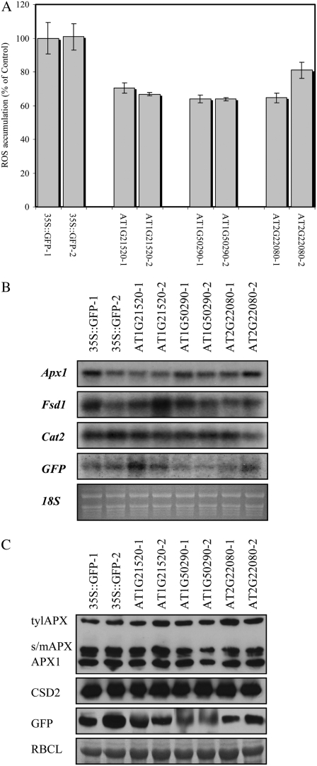 Figure 7.