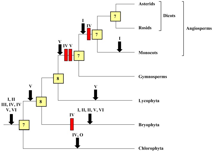 Figure 7