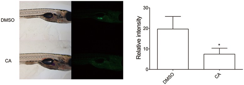 FIGURE 3