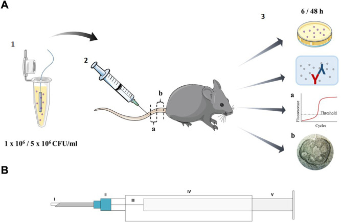 FIGURE 1