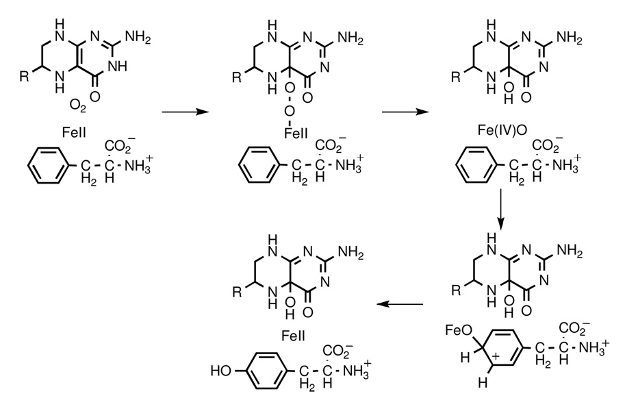 Scheme 1