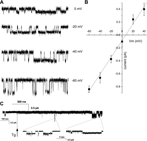 Fig. 3.