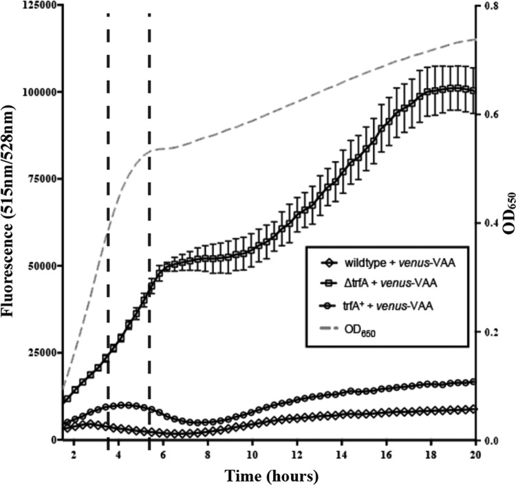 FIG 3