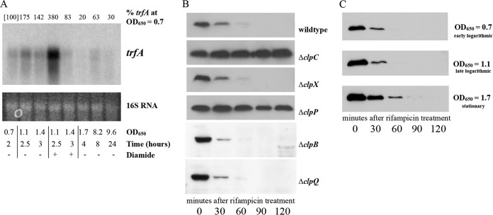 FIG 4