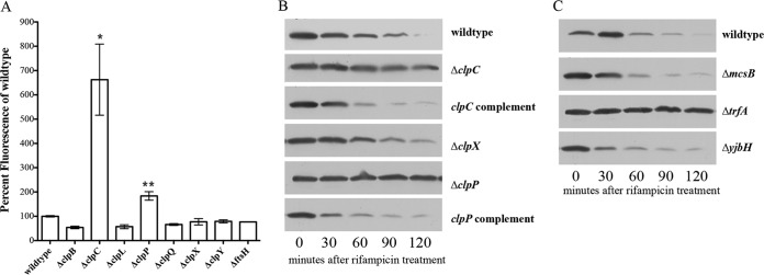 FIG 2