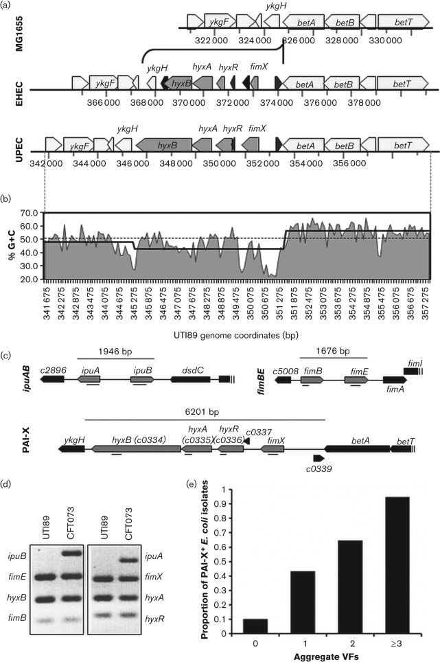 Fig. 1. 