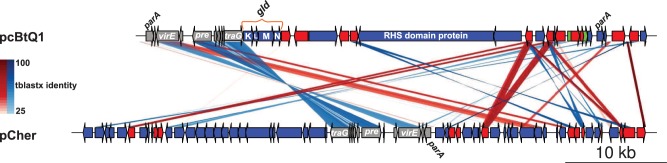 Fig. 3.—