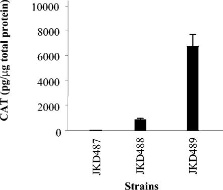 FIG. 7.