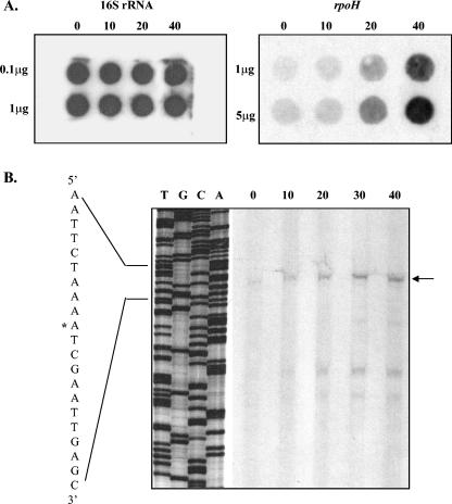 FIG. 5.