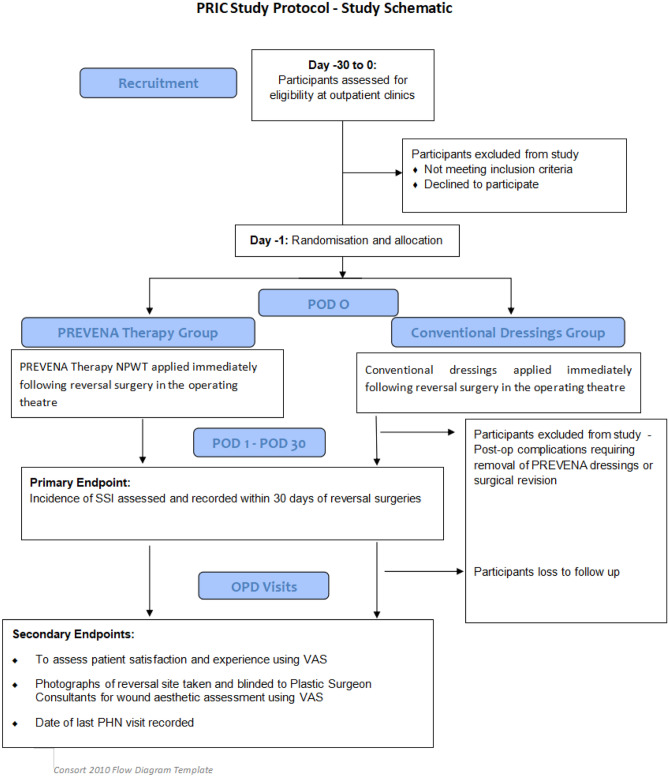 graphic file with name 384_2022_4153_Fig1_HTML.jpg