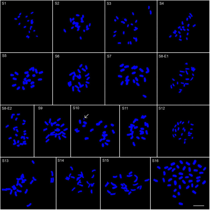 FIGURE 2