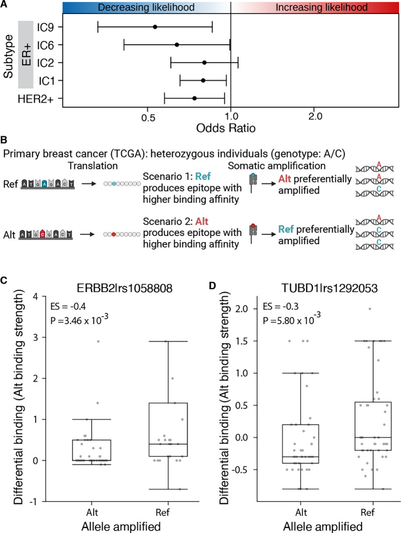 Figure 2 –