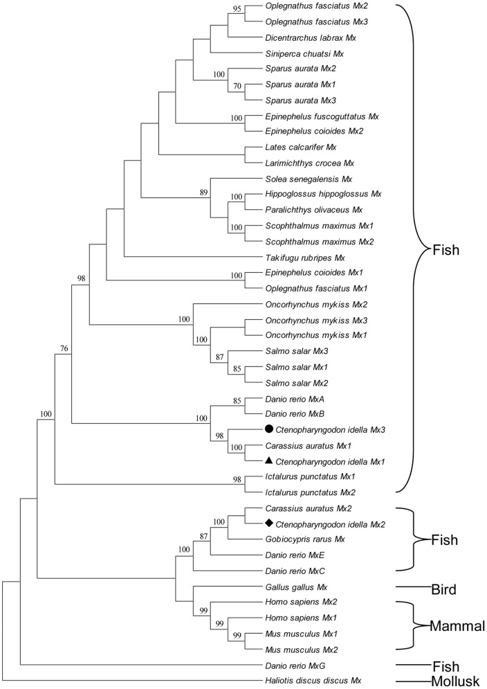 Figure 1