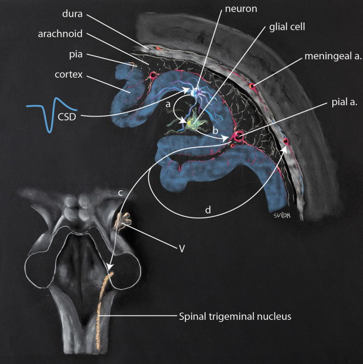 FIGURE 3