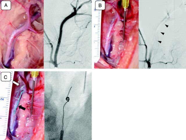 Fig 2.