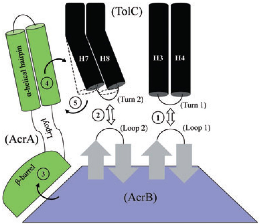 Fig. 10