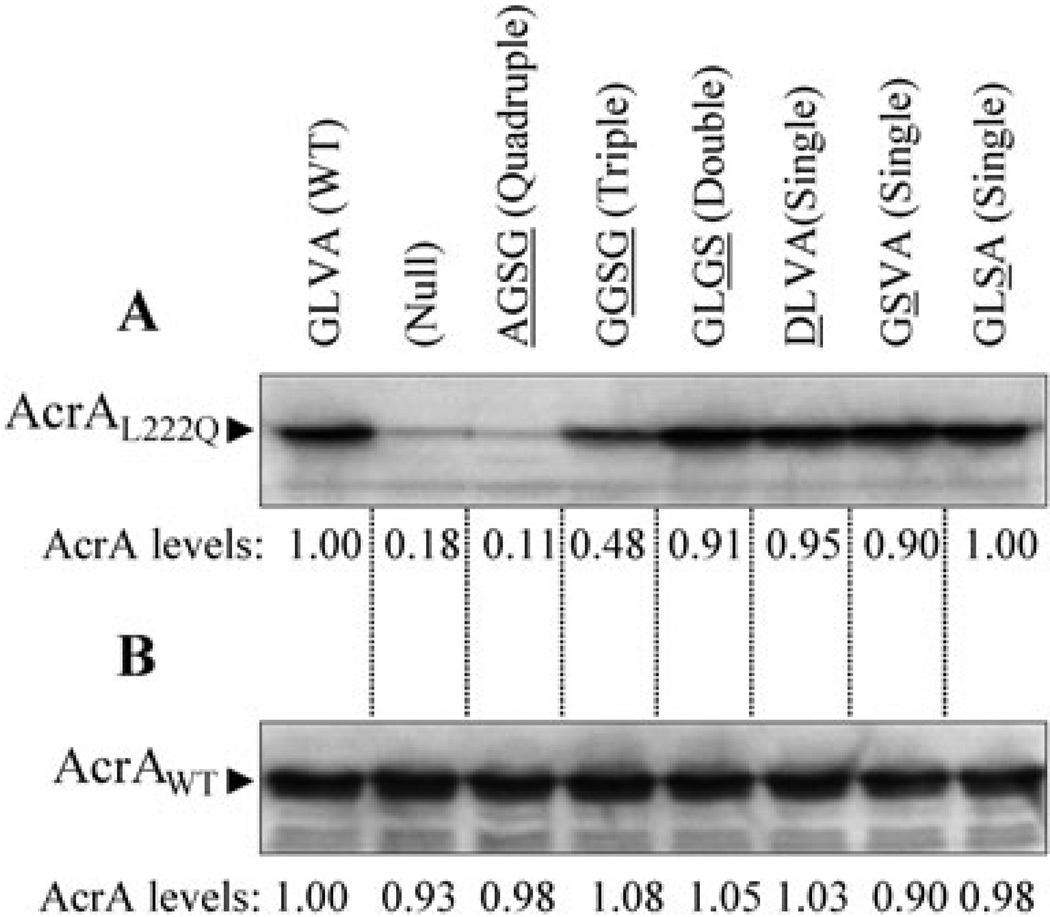 Fig. 9