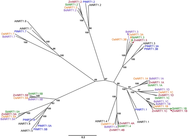 Figure 2