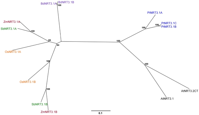 Figure 6