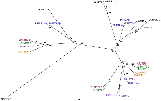 Figure 4