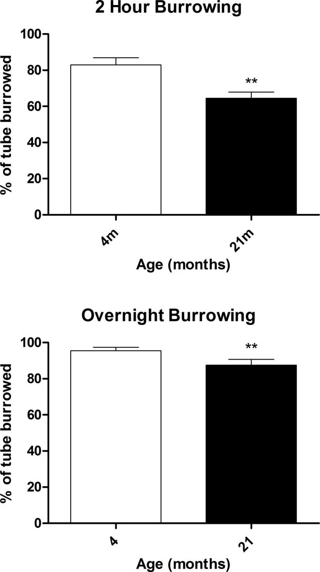 Supplementary Fig. 1