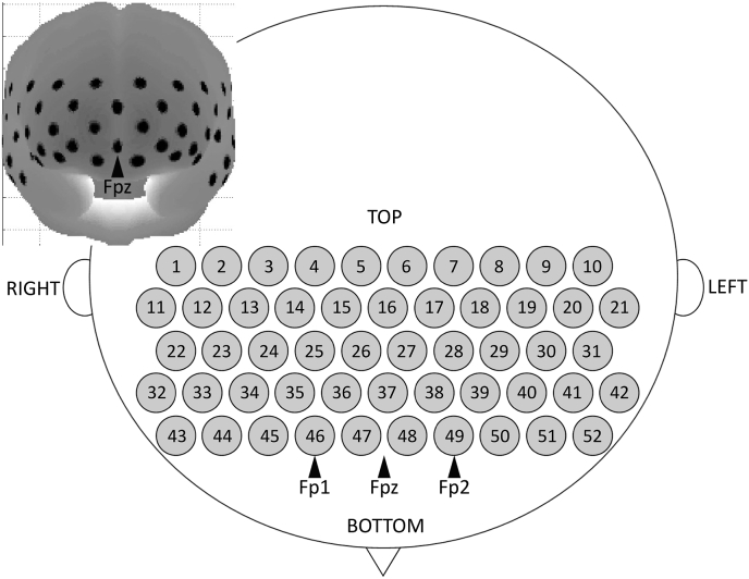 Fig. 3